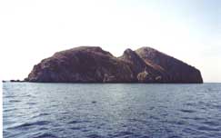 m3-1.jpg (4435 bytes)