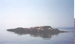 m62-2.jpg (2368 bytes)