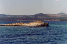 m62.jpg (4830 bytes)