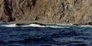 m91.jpg (8959 bytes)