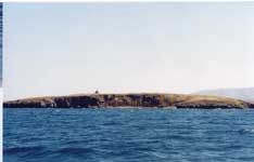 L4-1.jpg (3929 bytes)