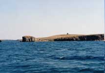 L4-2.jpg (3988 bytes)