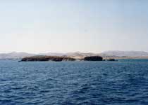 L4-4.jpg (3686 bytes)