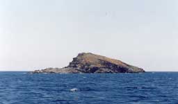 L9-1.jpg (3416 bytes)