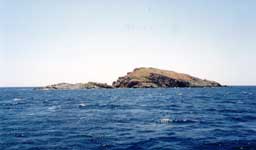 L9-2.jpg (4543 bytes)