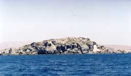 L9-3.jpg (4927 bytes)