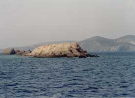 ps6.jpg (6153 bytes)
