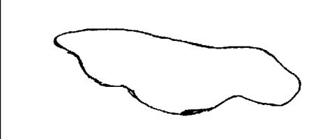 x19-x.jpg (4873 bytes)