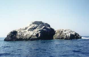 x19.jpg (6962 bytes)
