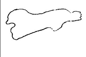 x5-x.jpg (4134 bytes)